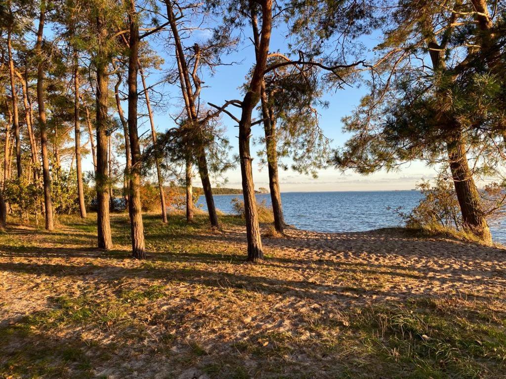 Villa Strandraeuber Zudar Bagian luar foto